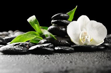 深圳sizu服务有着很多种不同的服务细节